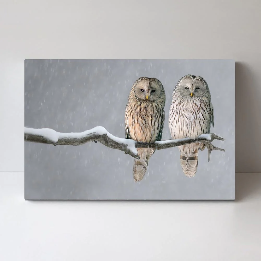 A Pair Of Owls - Image 3