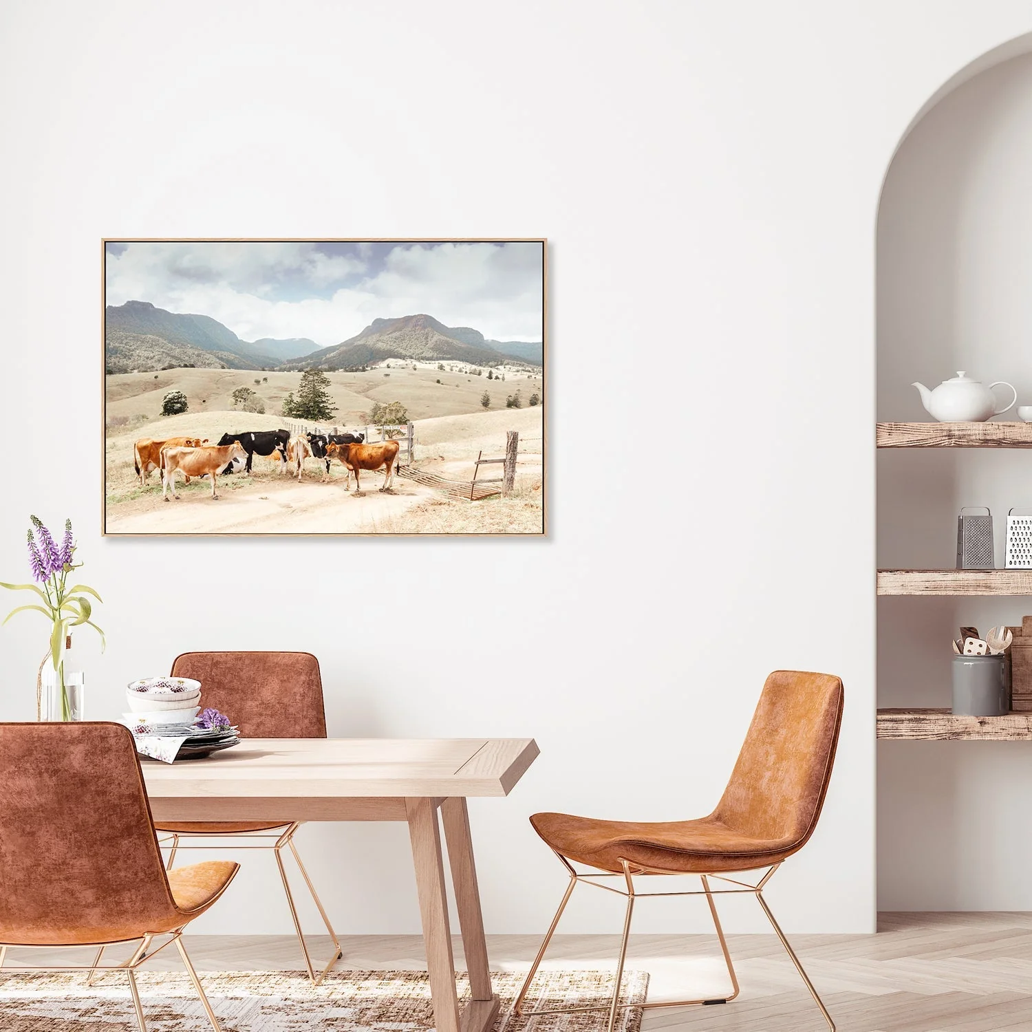 Farm Cows, Darlington, South East Queensland - Image 7