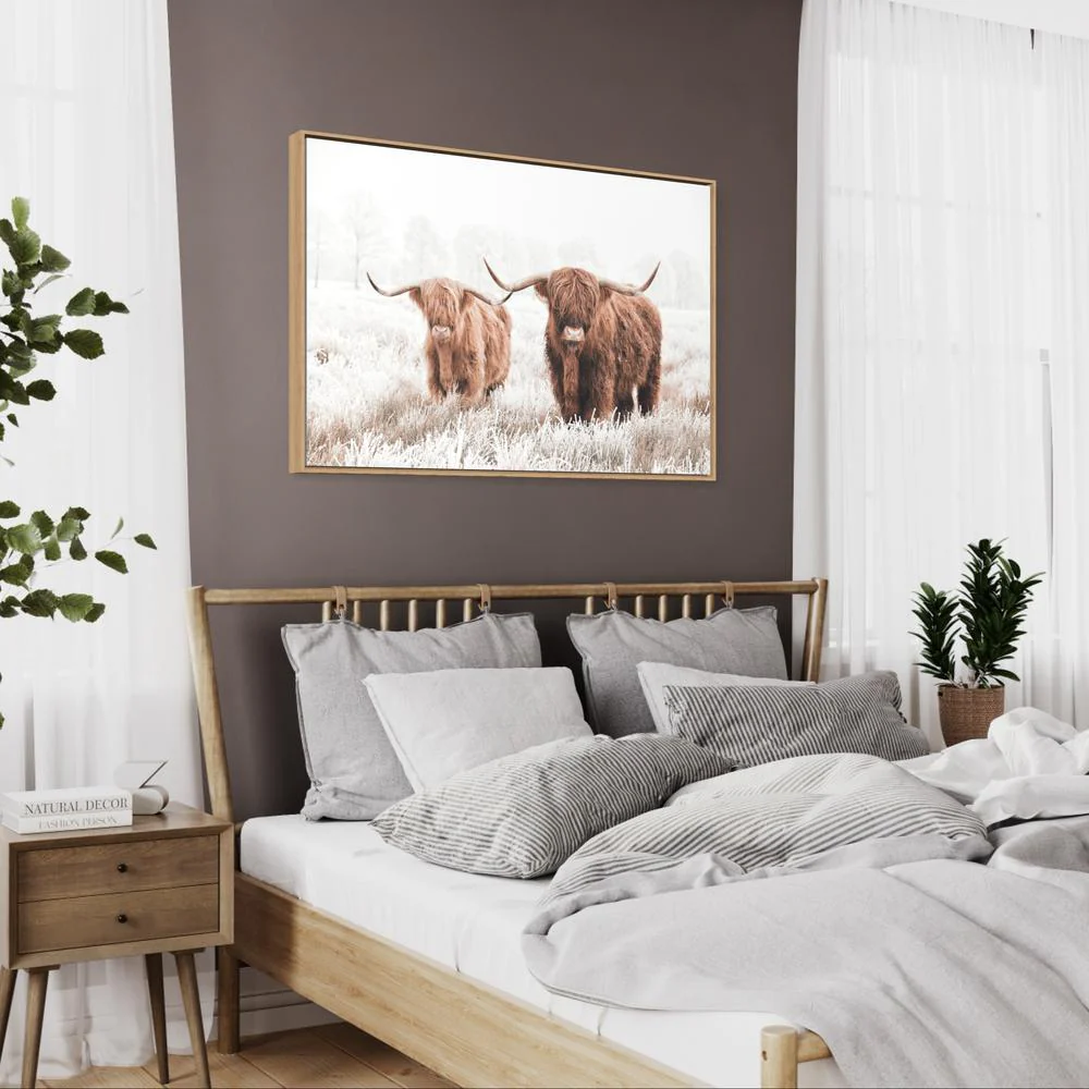 Highland Cows In The Meadow - Image 3