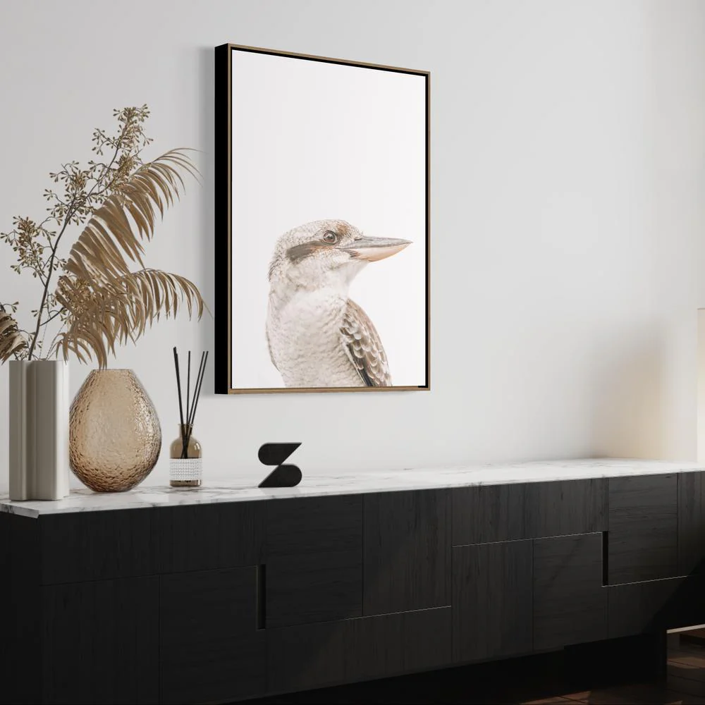 Kookaburra - Image 3