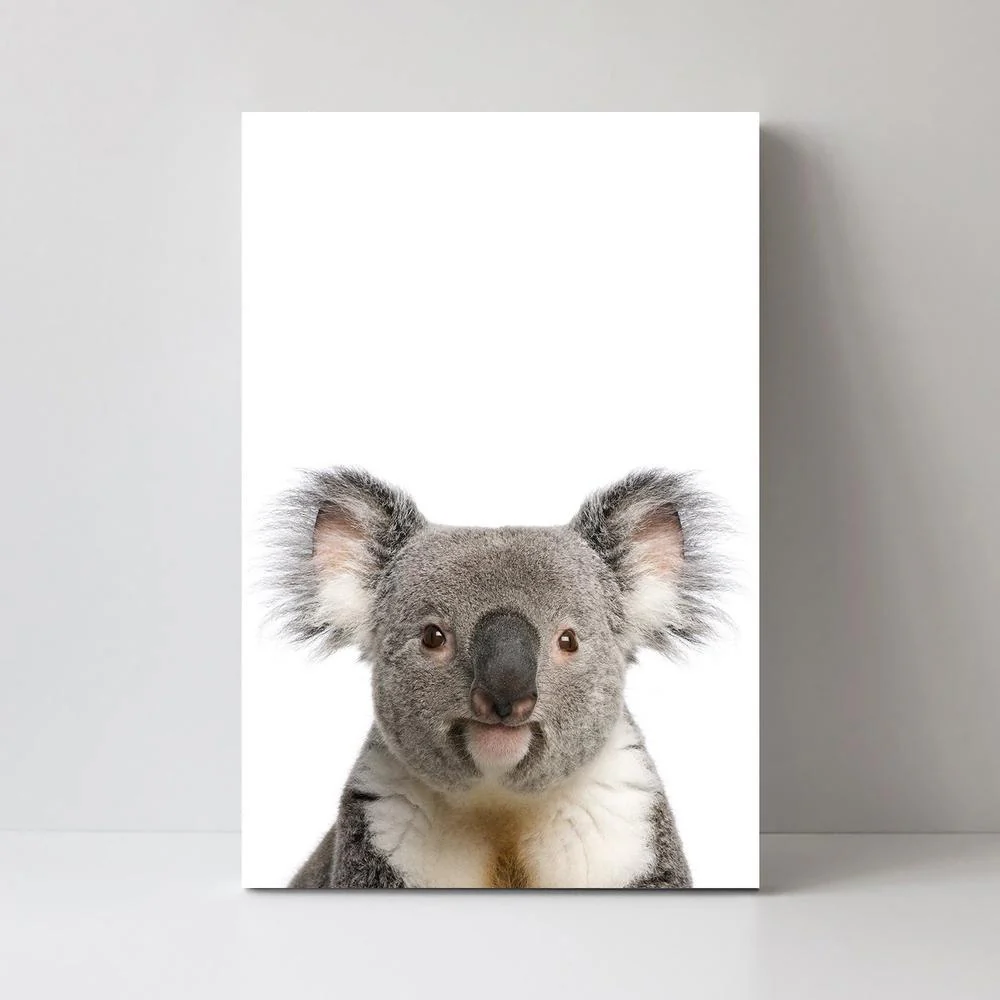Laughing Kookaburra And Koala, Set Of 2 - Image 5