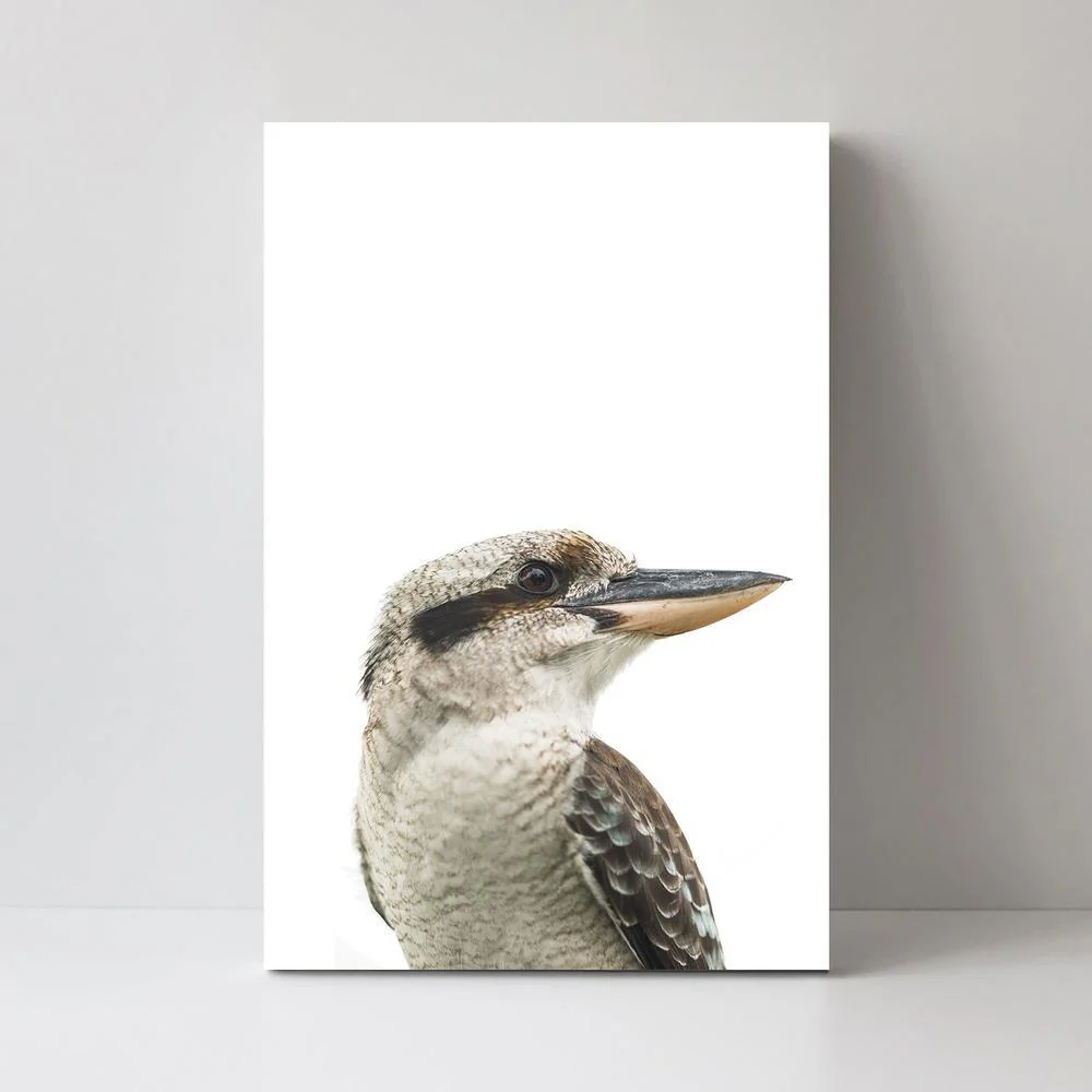 Laughing Kookaburra And Koala, Set Of 2 - Image 6
