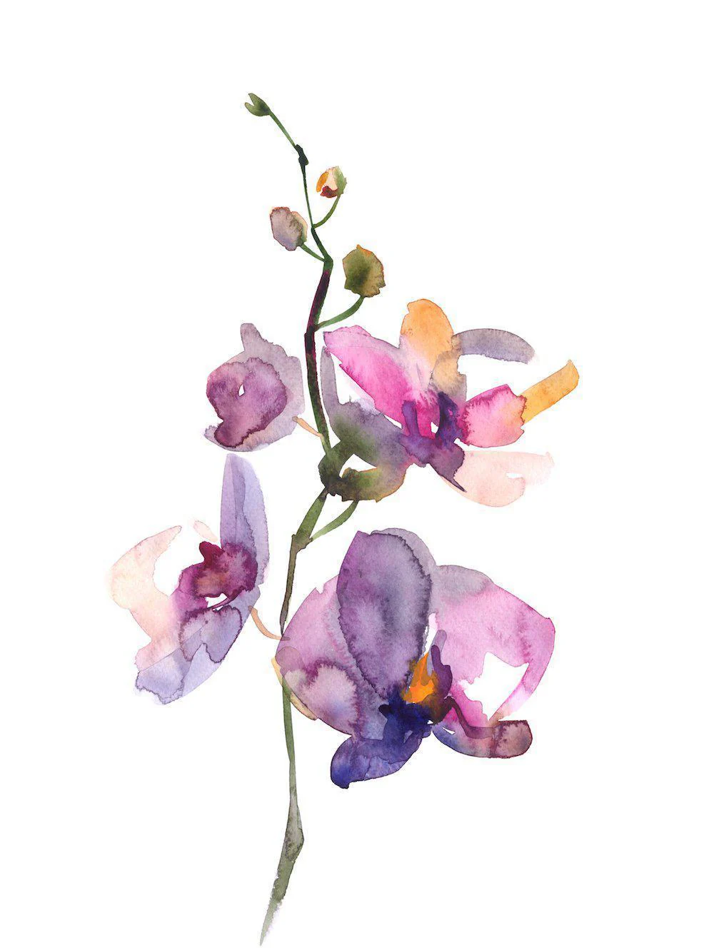 Orchid Painting, Watercolour Style, Set Of 2 - Image 3