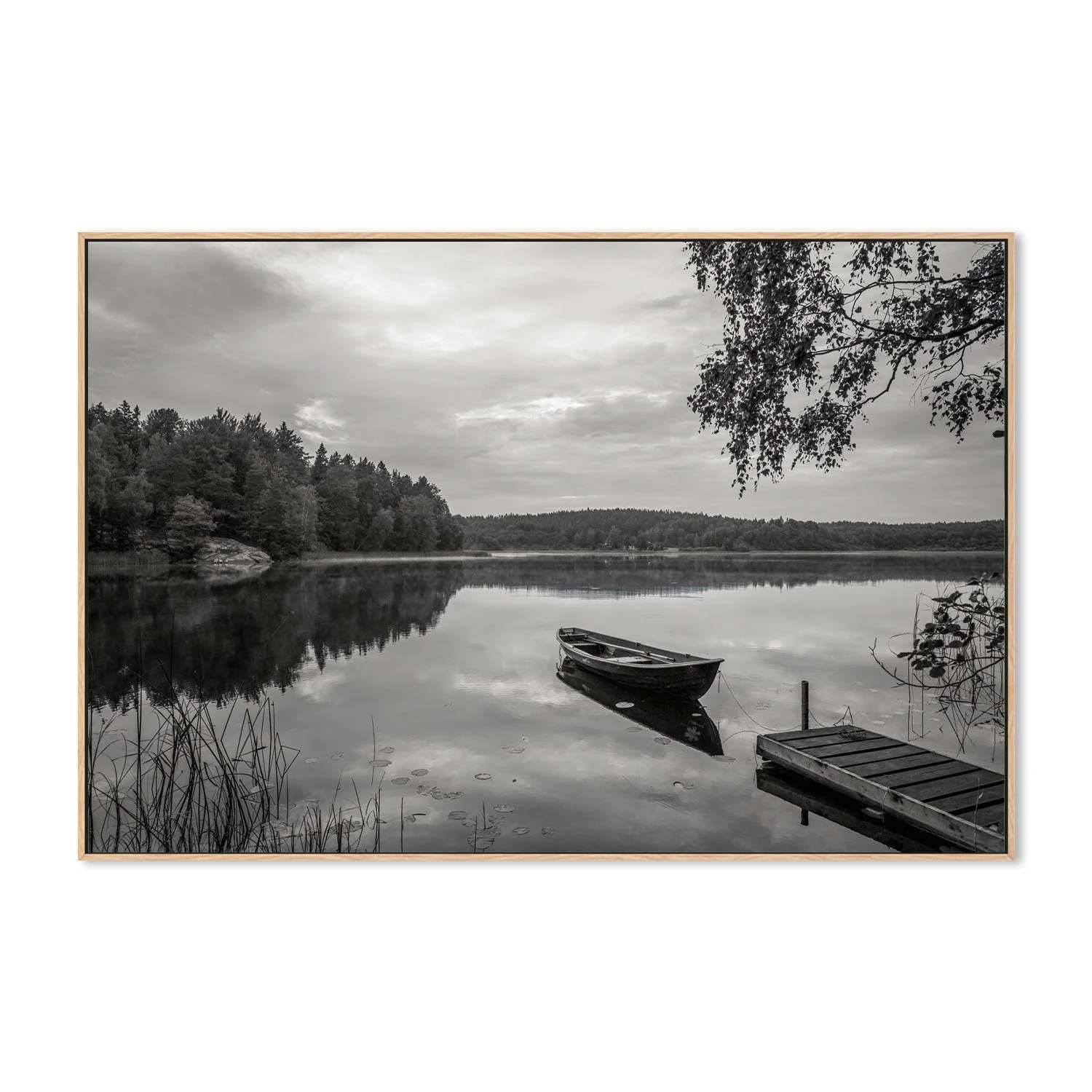 Peaceful Lake - Image 4