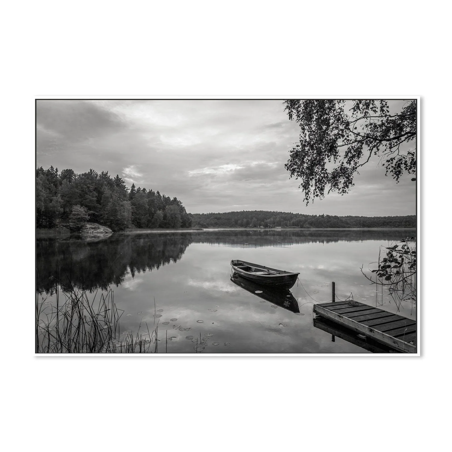 Peaceful Lake - Image 5