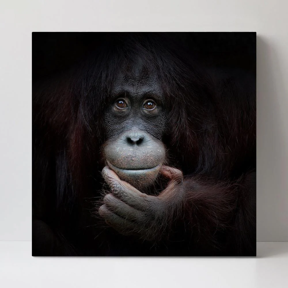 The Mirror Image, By Antje Wenner - Image 3