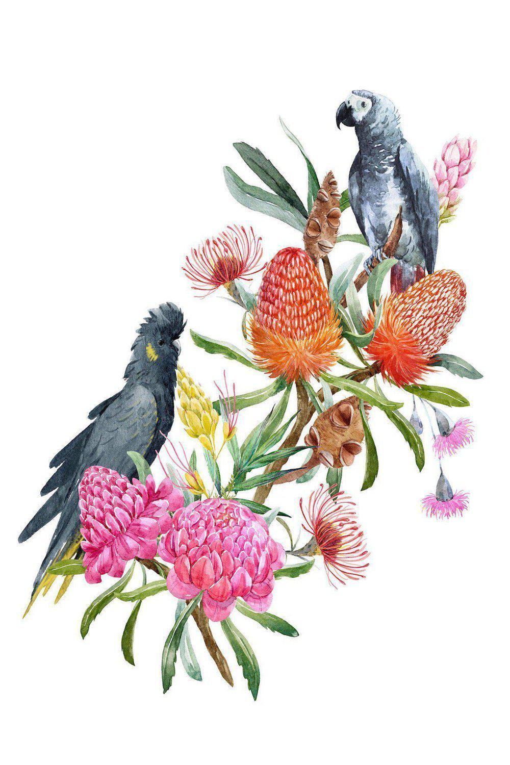 Watercolour Bouquet, Banksias,Protea Leaves, Eucalyptus, Parrot And Cockatoo, Set Of 2 - Image 3