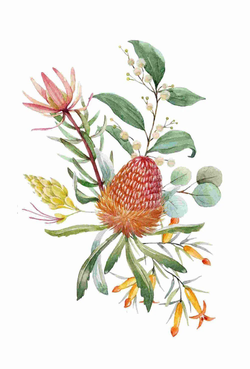 Watercolour Bouquet, Banksias,Protea Leaves, Eucalyptus, Parrot And Cockatoo, Set Of 2 - Image 4